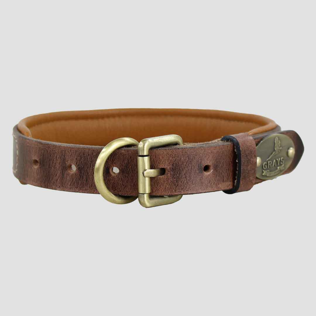 Wychnor Dog Collar Leather Brown