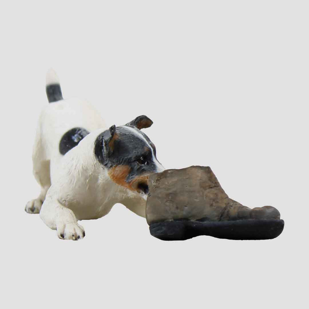 Jack Russell Playing With Boot Model