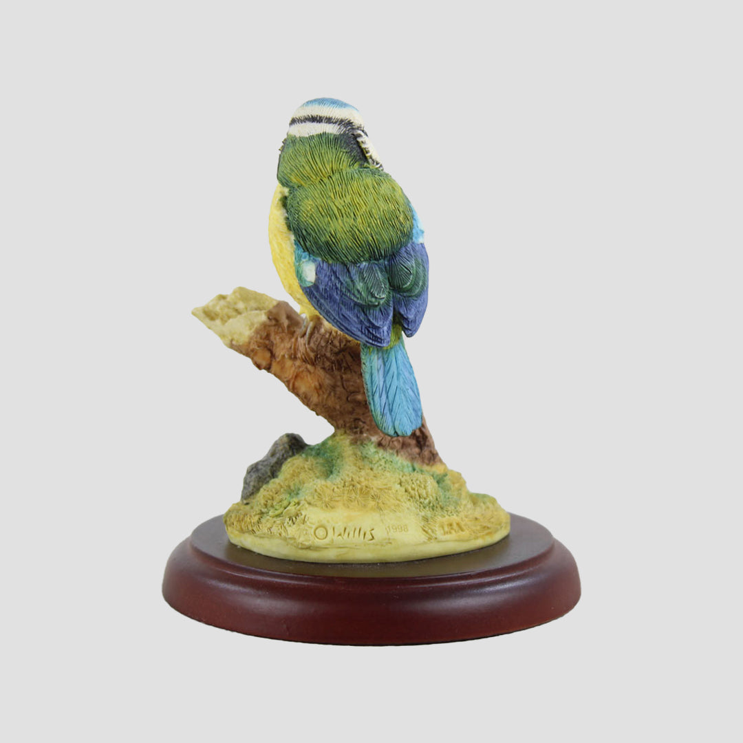Blue Tit Style 6 Border Fine Arts Bird