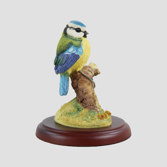 Blue Tit Style 6 Border Fine Arts Bird