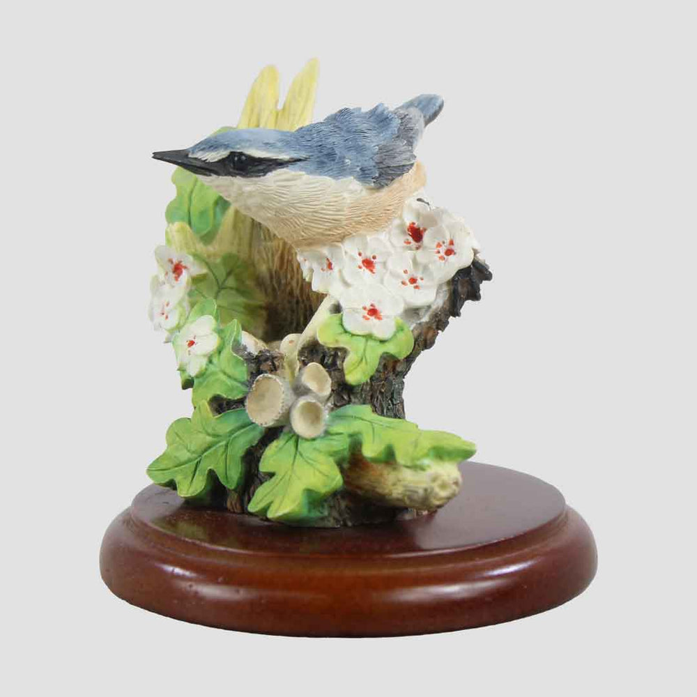 Nuthatch With Nest Border Fine Arts
