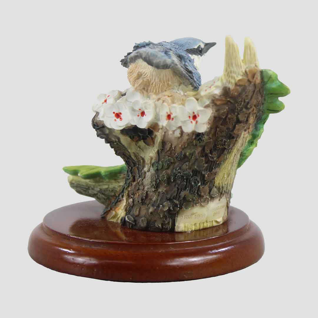 Nuthatch With Nest Border Fine Arts