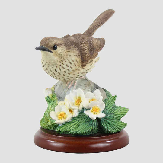 Thrush Border Fine Arts Birds