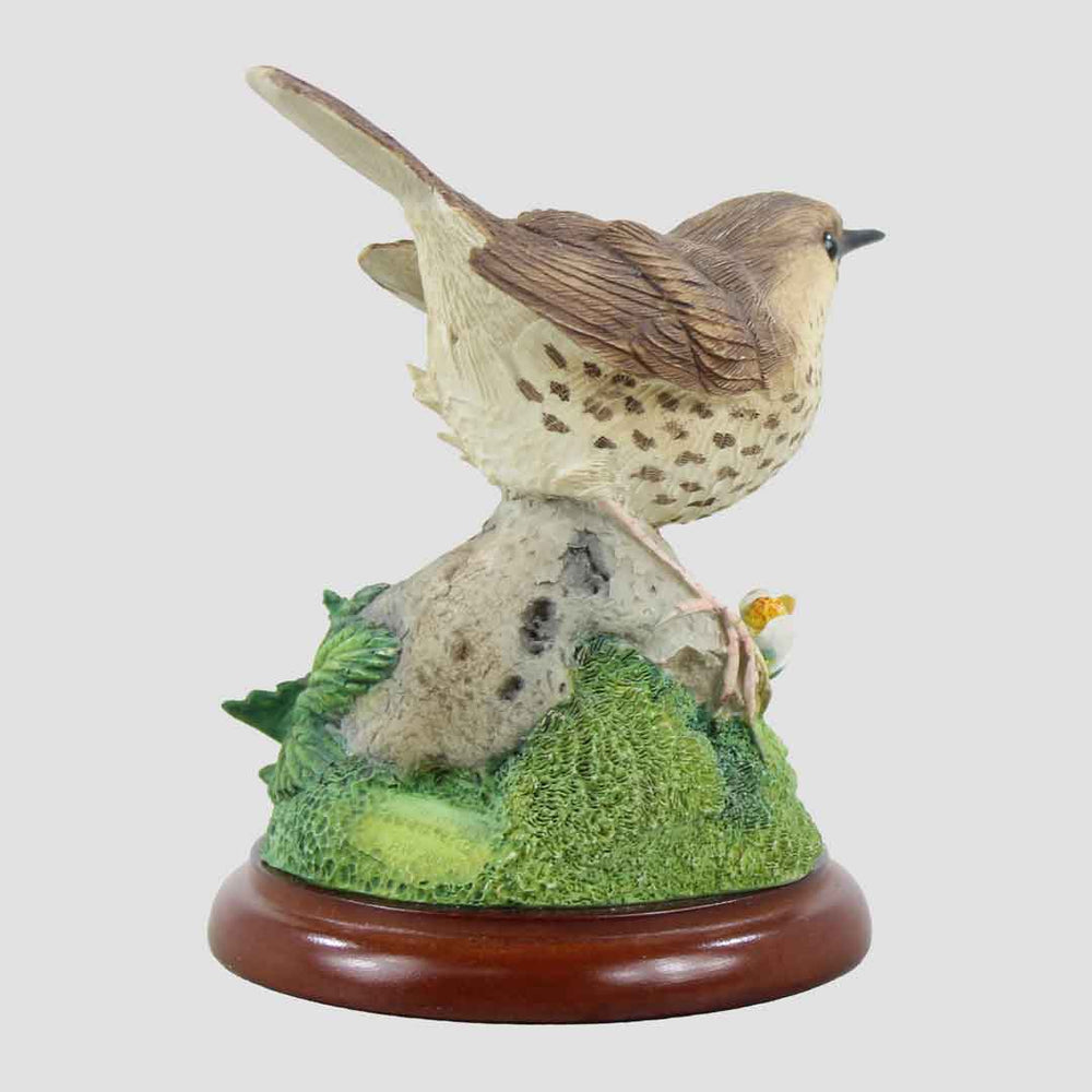 Thrush Border Fine Arts Birds