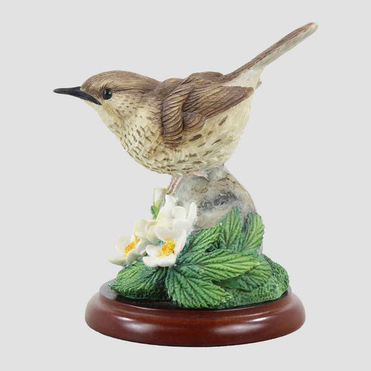 Thrush Border Fine Arts Birds