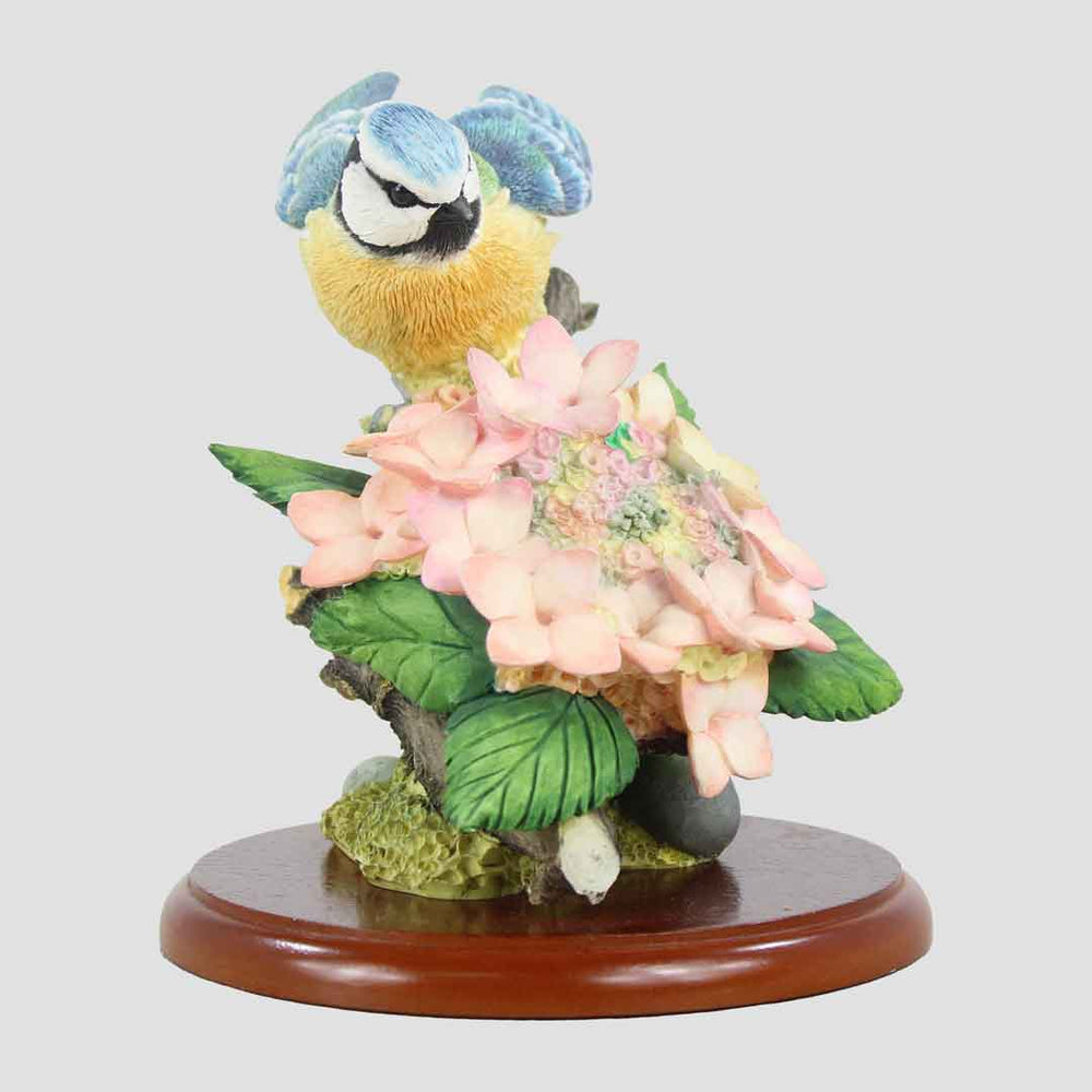 Blue Tit On Hydrangea Border Fine Arts Birds