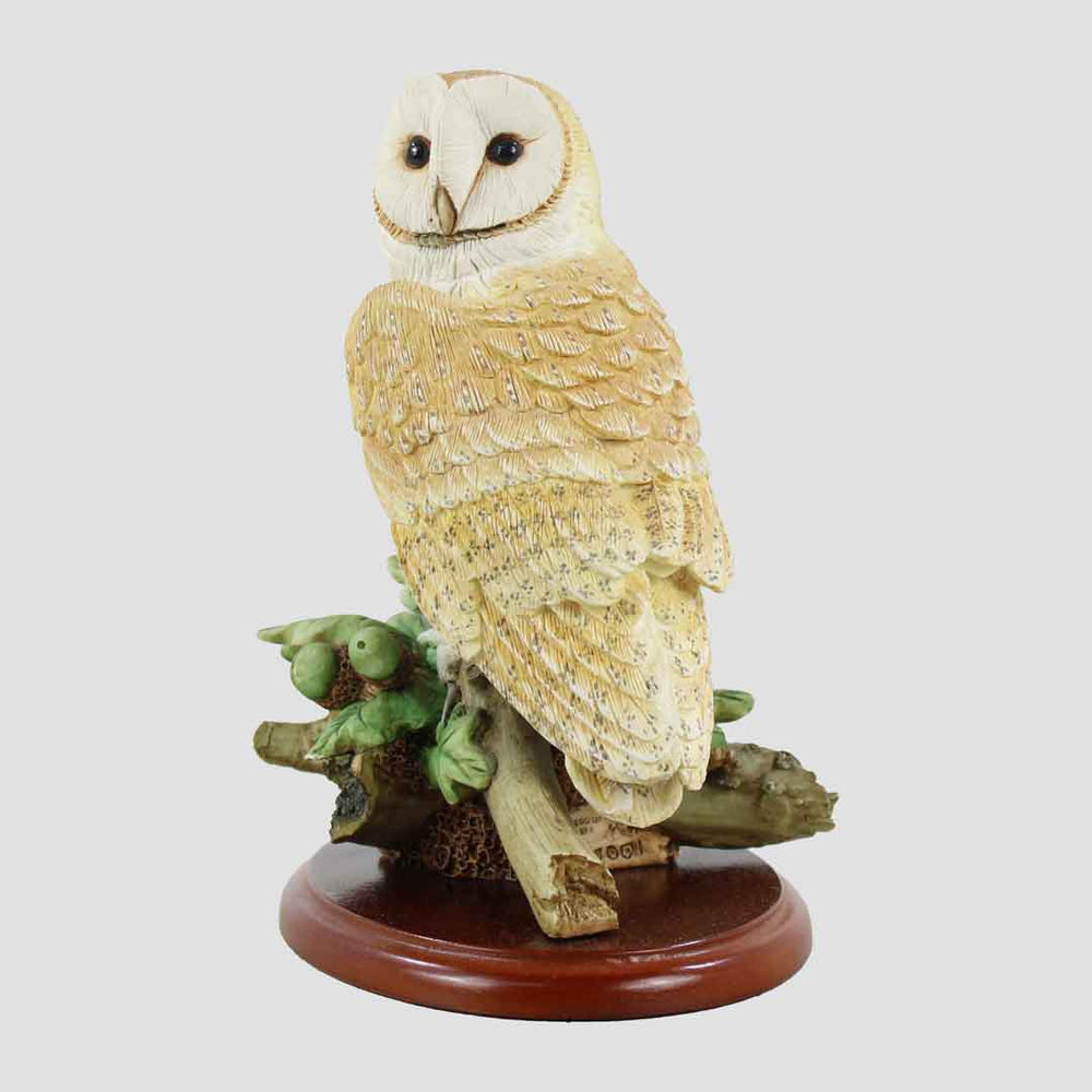 Barn Owl And Acorns Border Fine Arts