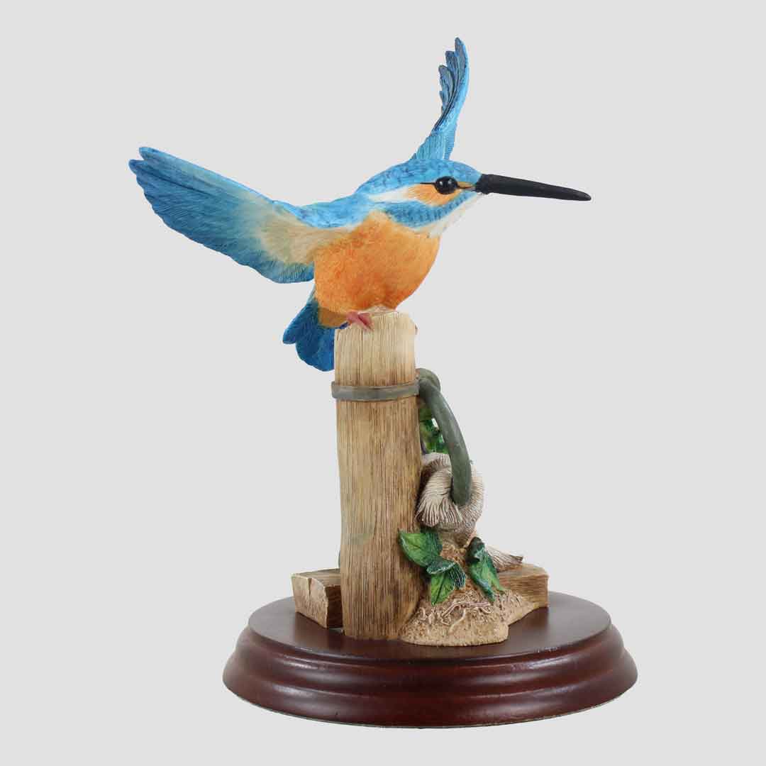 Kingfisher On Post Border Fine Arts Birds