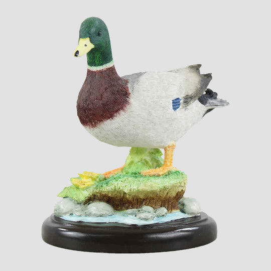 Mallard Duck Border Fine Arts
