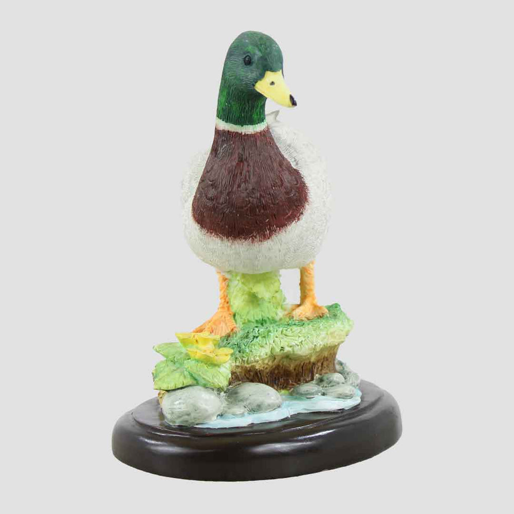 Mallard Duck Border Fine Arts