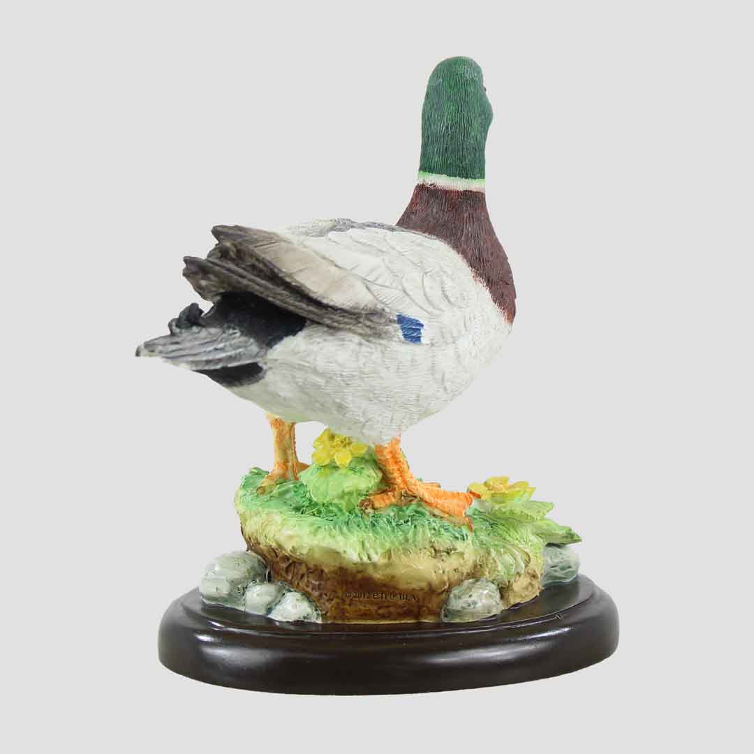 Mallard Duck Border Fine Arts