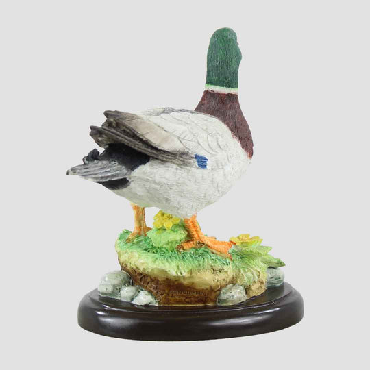 Mallard Duck Border Fine Arts