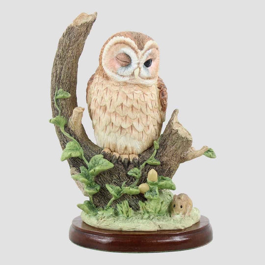 Tawny Owl With Mouse Border Fine Arts