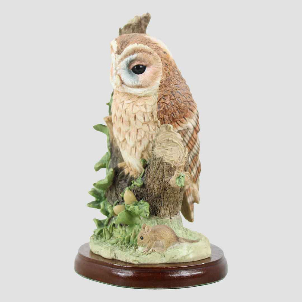 Tawny Owl With Mouse Border Fine Arts