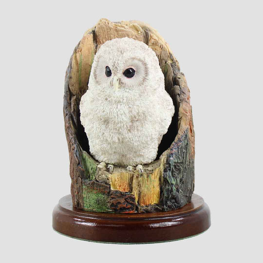 Tawny Owlet In Tree Border Fine Arts