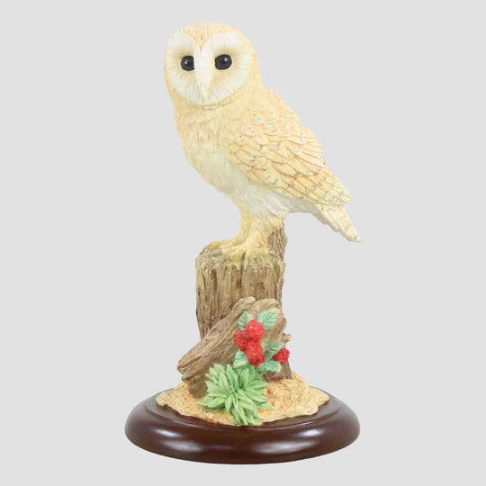 Barn Owl Style Twelve Border Fine Arts