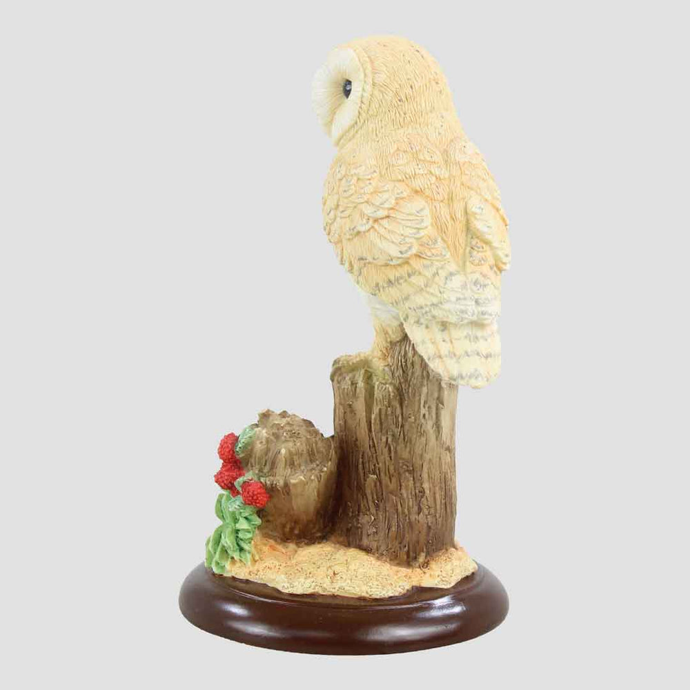 Barn Owl Style Twelve Border Fine Arts