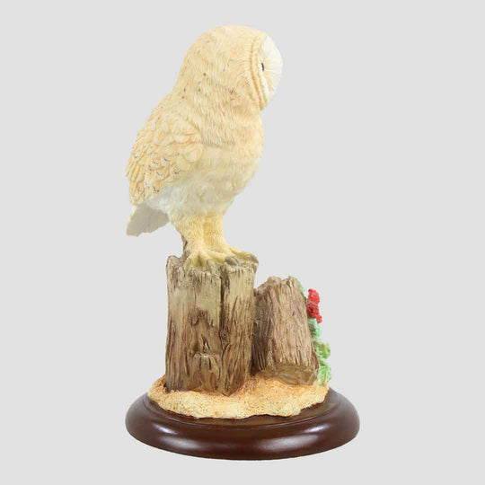 Barn Owl Style Twelve Border Fine Arts
