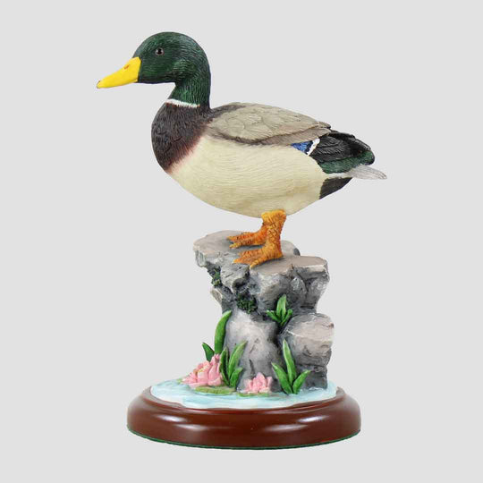 Mallard With Lotus Border Fine Arts Duck