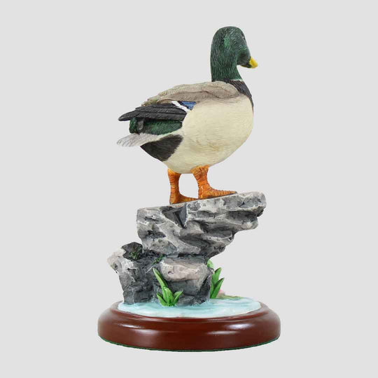 Mallard With Lotus Border Fine Arts Duck
