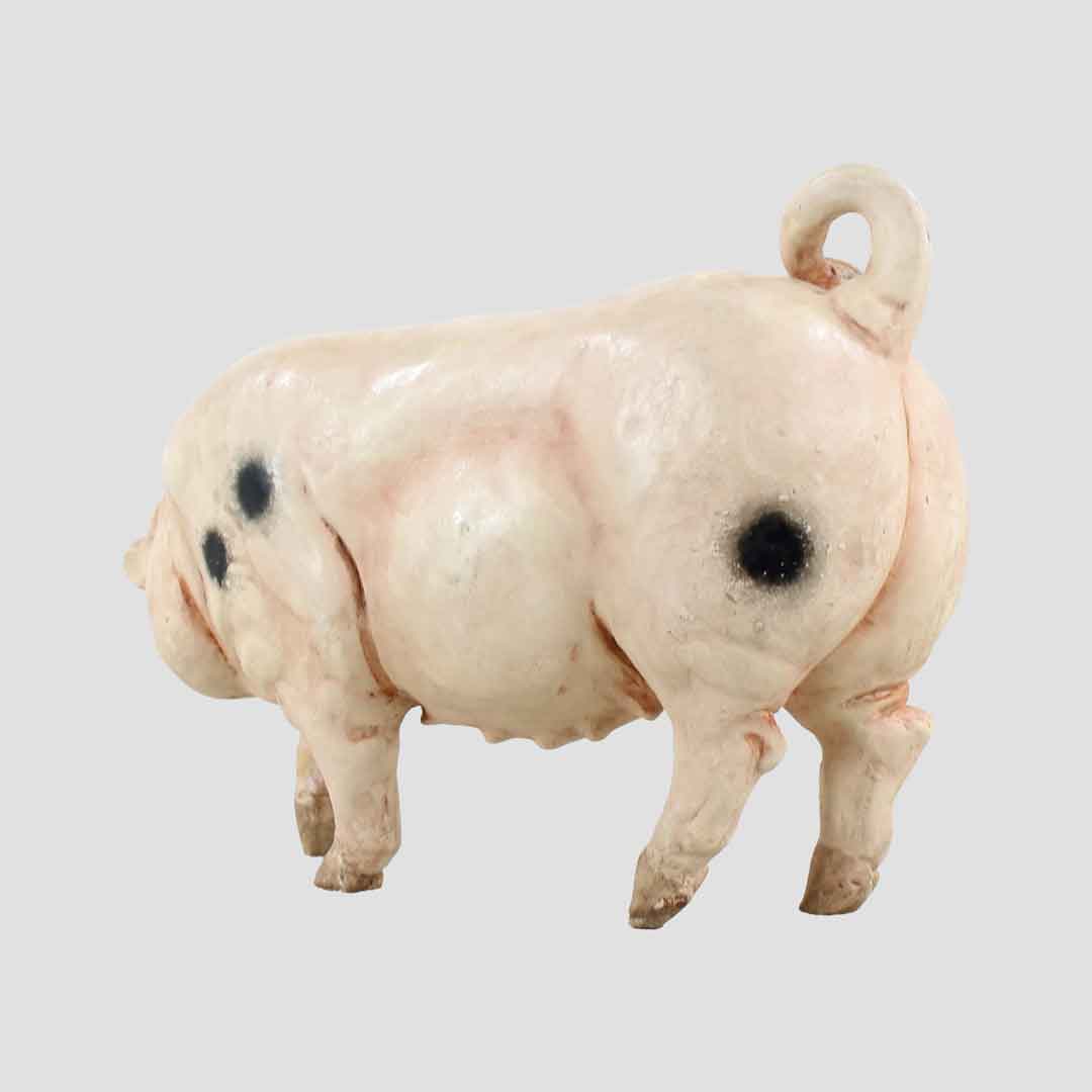 Rosie - Gloucester Old Spot Border Fine Arts Pig