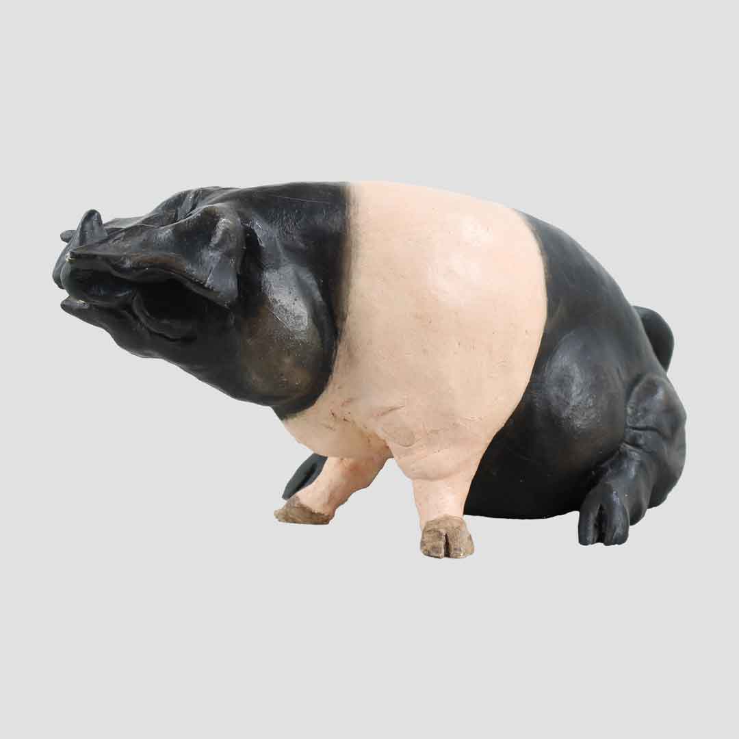 Myrtle (Saddleback) Border Fine Arts Pig