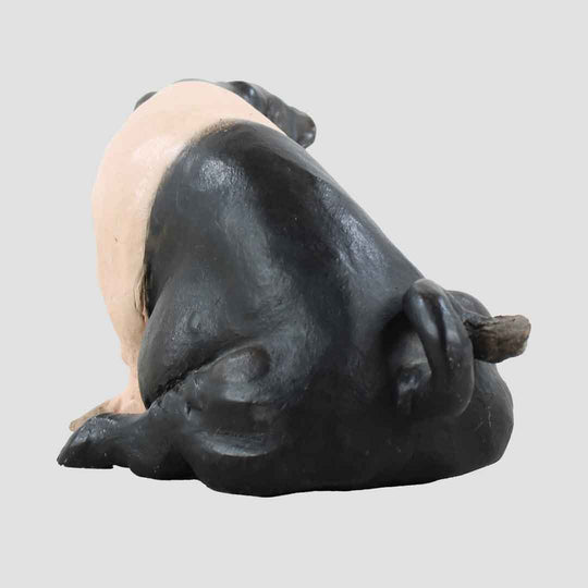 Myrtle (Saddleback) Border Fine Arts Pig