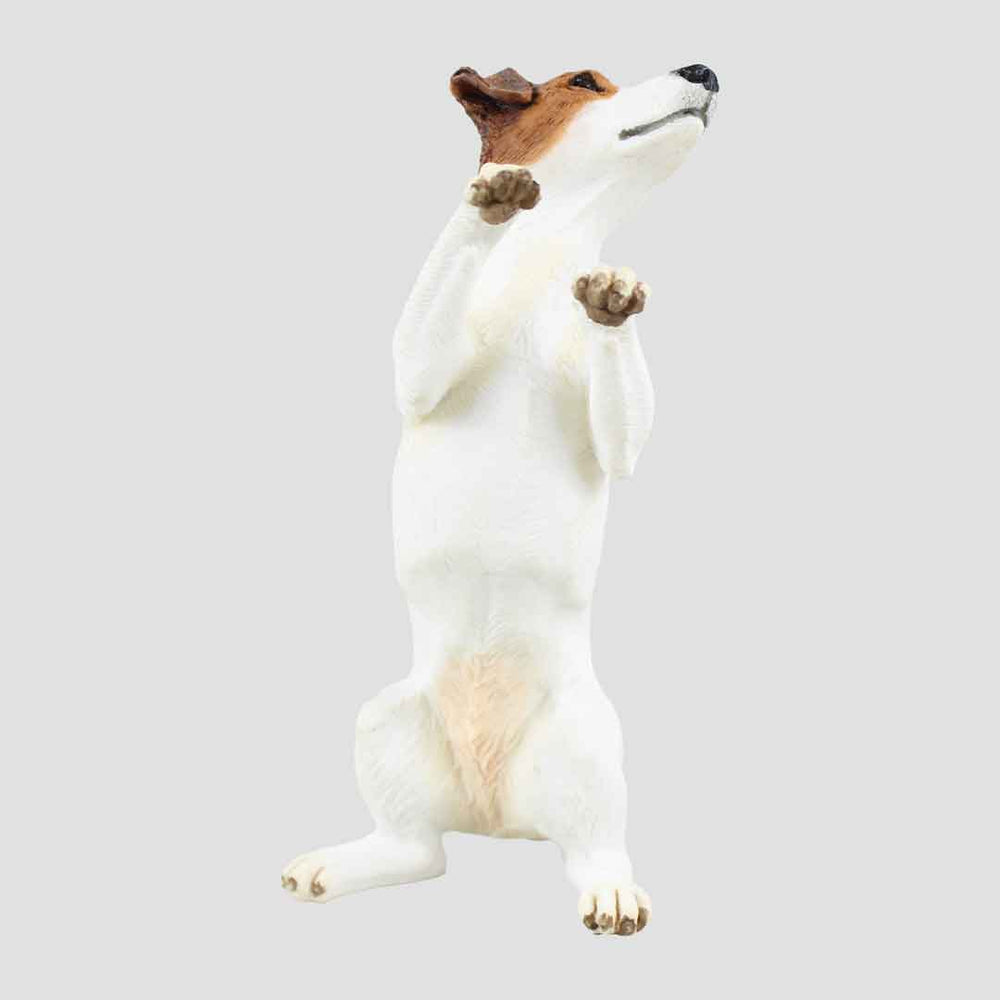 Jack Russell Tan and White Border Fine Arts Dog