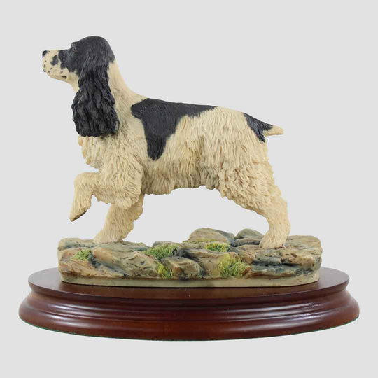 Cocker Spaniel Border Fine Arts Dog