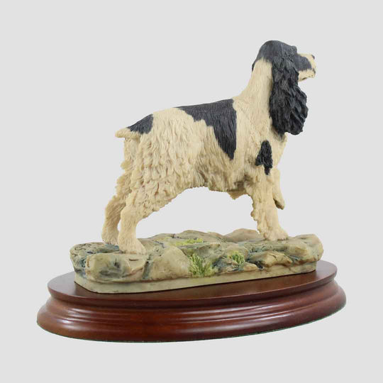 Cocker Spaniel Border Fine Arts Dog