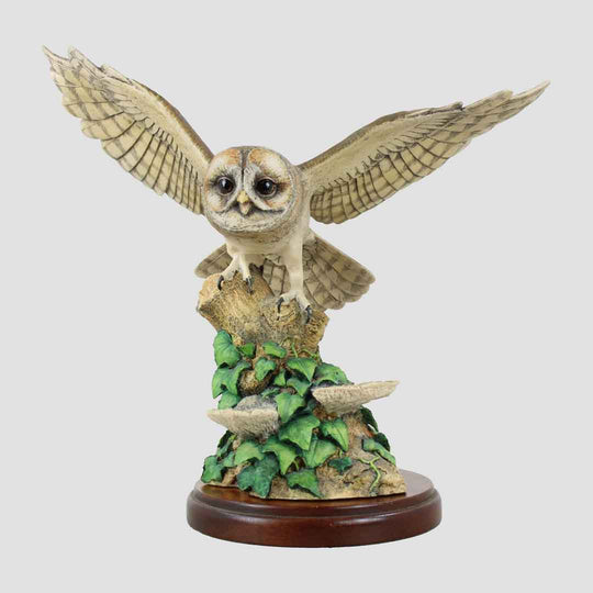 Tawny Owl Style Three Border Fine Arts