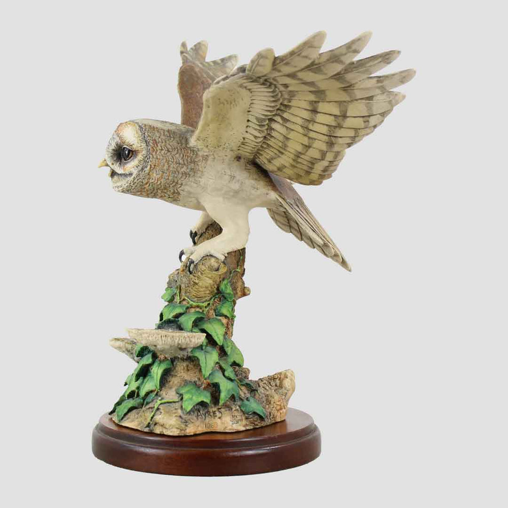 Tawny Owl Style Three Border Fine Arts