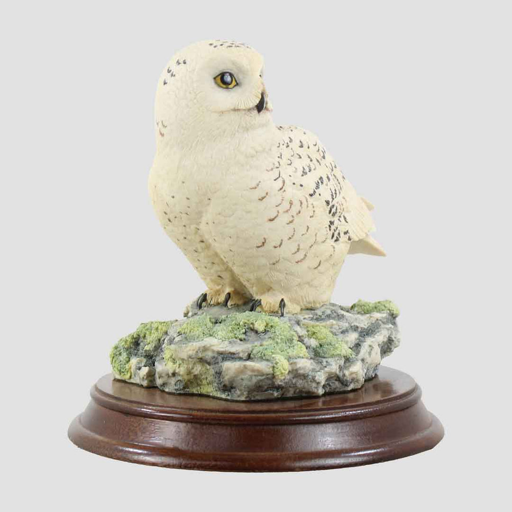 Plinth - Snowy Owl Style One Border Fine Arts Birds