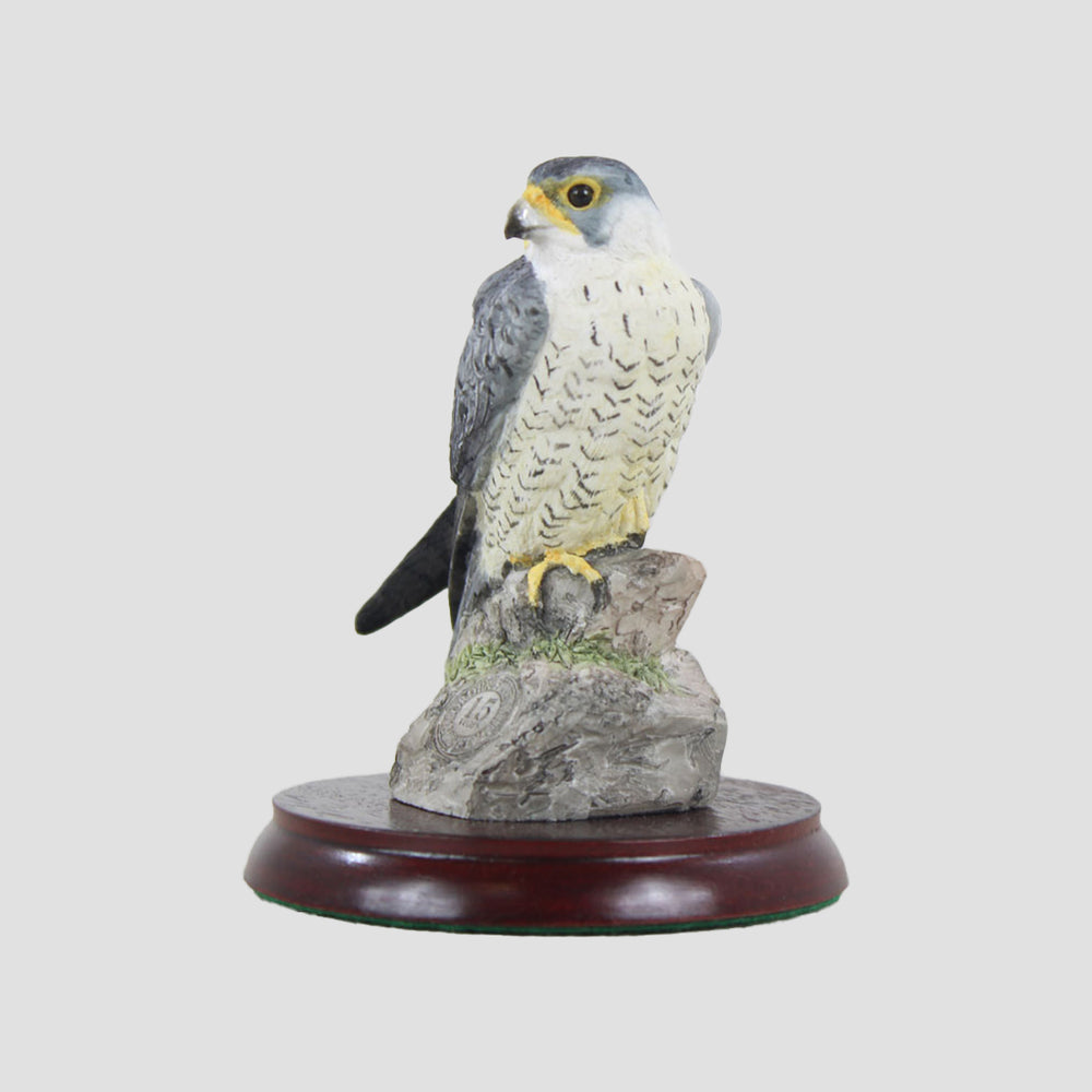 Symbol Of Loyalty - Peregrine Falcon Border Fine Arts