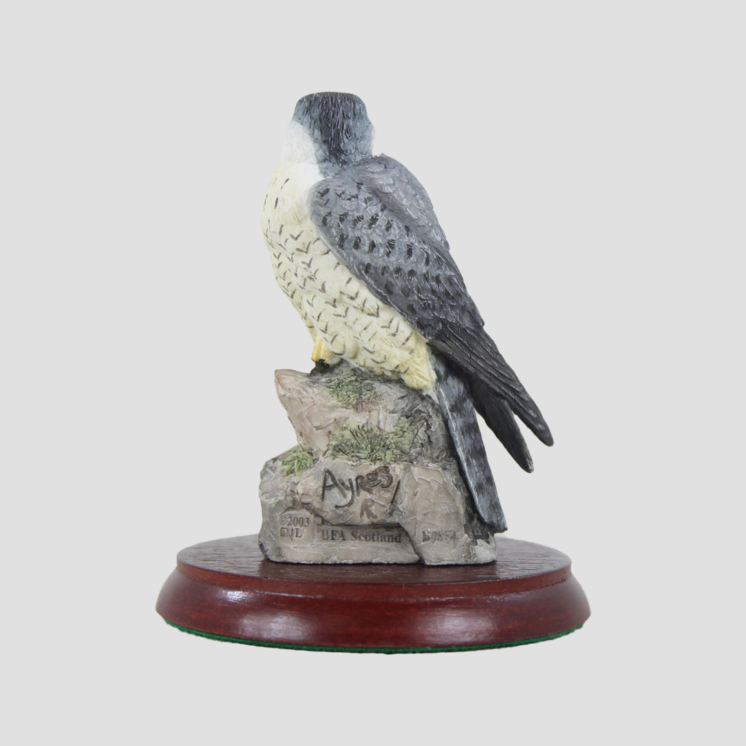 Symbol Of Loyalty - Peregrine Falcon Border Fine Arts
