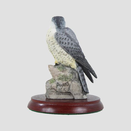 Symbol Of Loyalty - Peregrine Falcon Border Fine Arts
