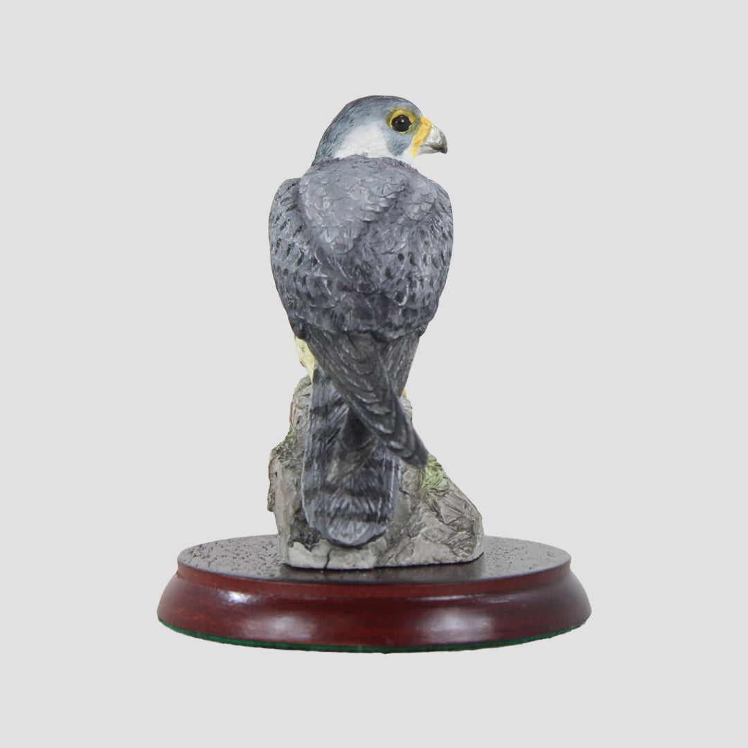 Symbol Of Loyalty - Peregrine Falcon Border Fine Arts