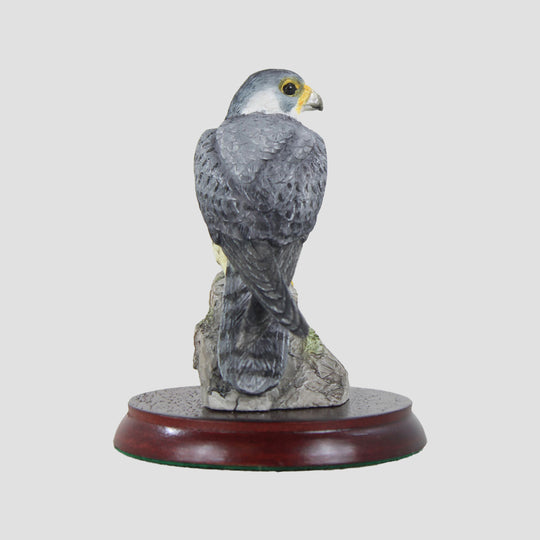 Symbol Of Loyalty - Peregrine Falcon Border Fine Arts
