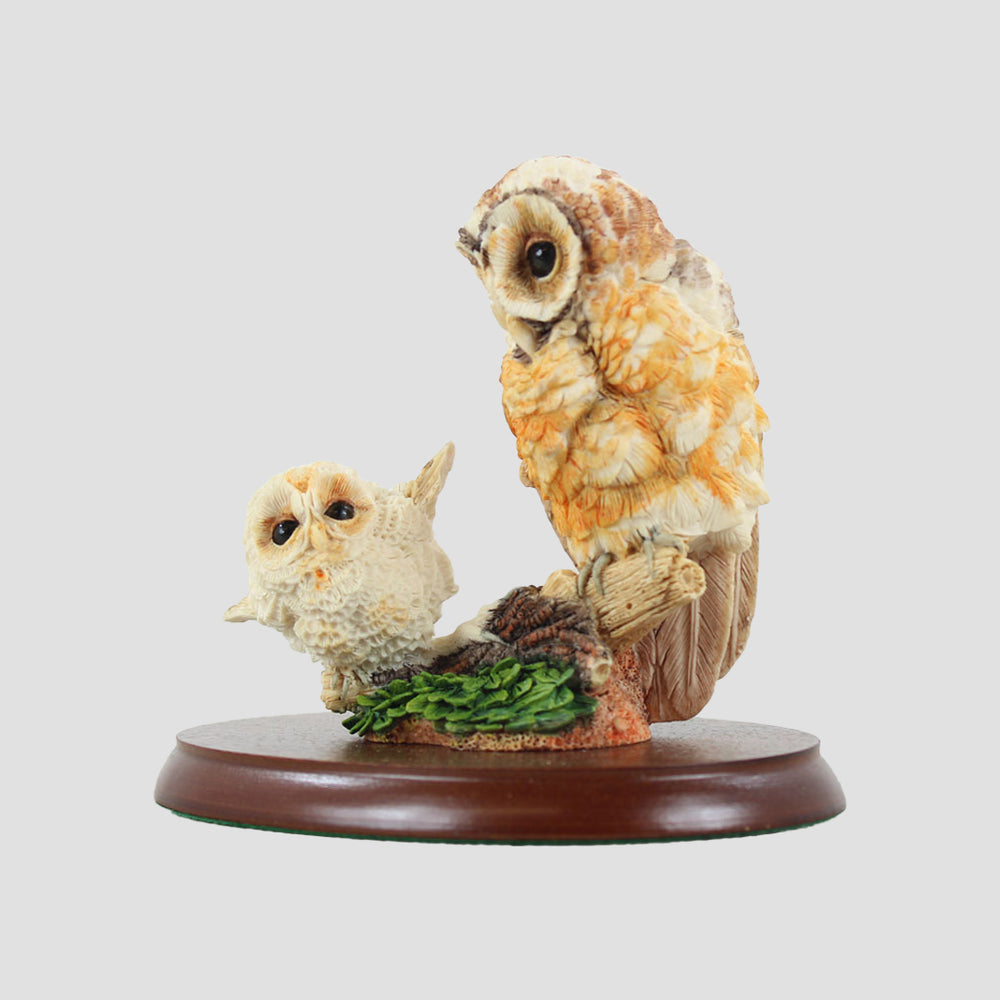 Learning To Fly Border Fine Arts Owl