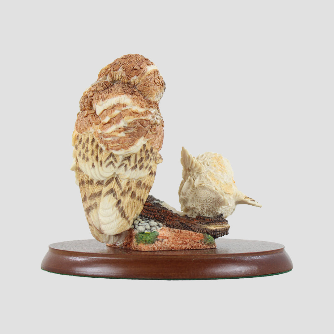 Learning To Fly Border Fine Arts Owl