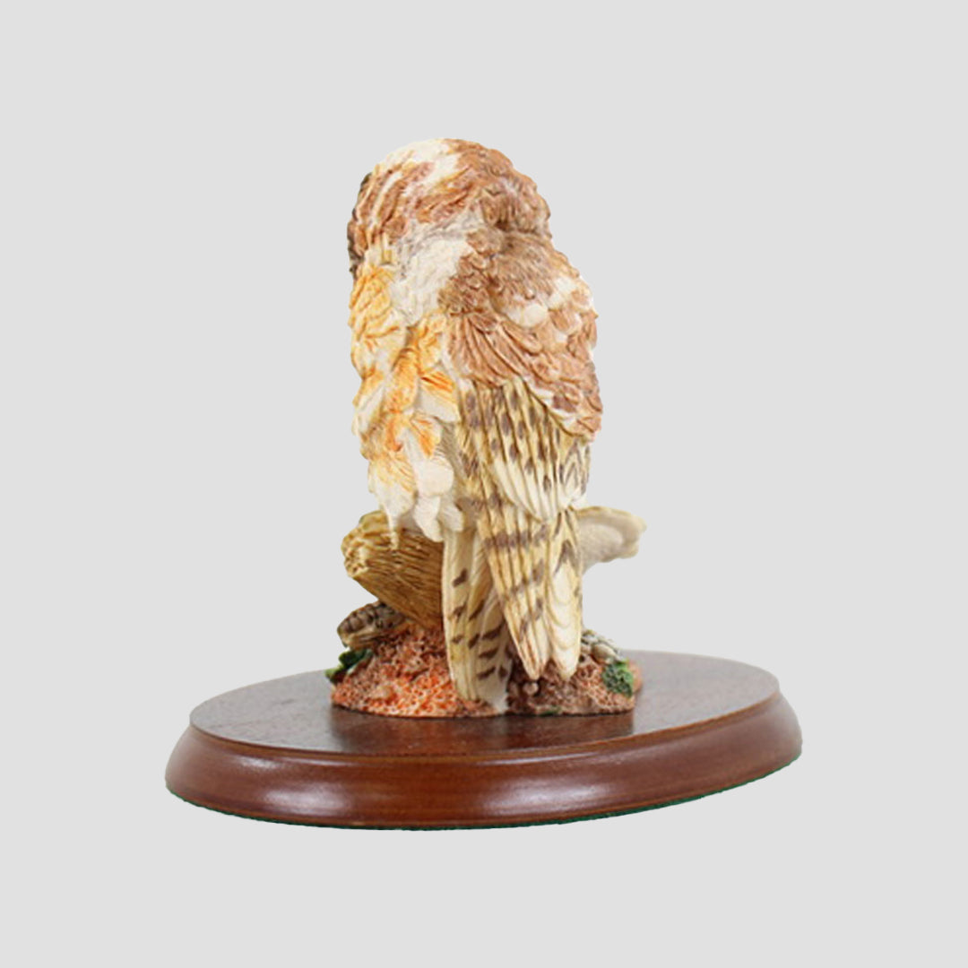 Learning To Fly Border Fine Arts Owl