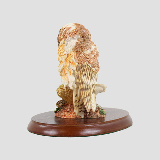 Learning To Fly Border Fine Arts Owl