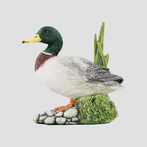 Drake Border Fine Arts Duck
