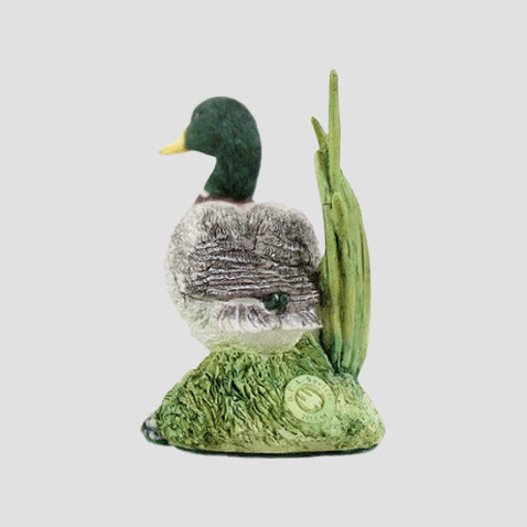 Drake Border Fine Arts Duck