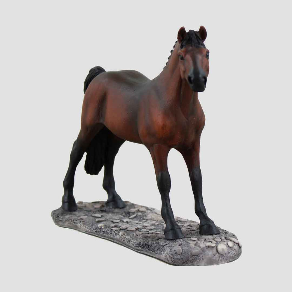 Hackney Bay Border Fine Arts Horse