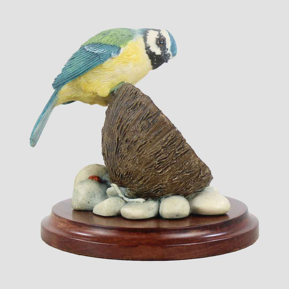Blue Tit On Coconut With Plinth Border Fine Arts Birds