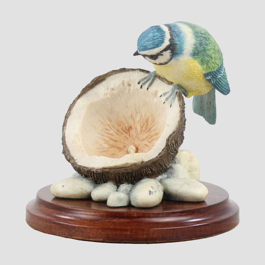 Blue Tit On Coconut With Plinth Border Fine Arts Birds