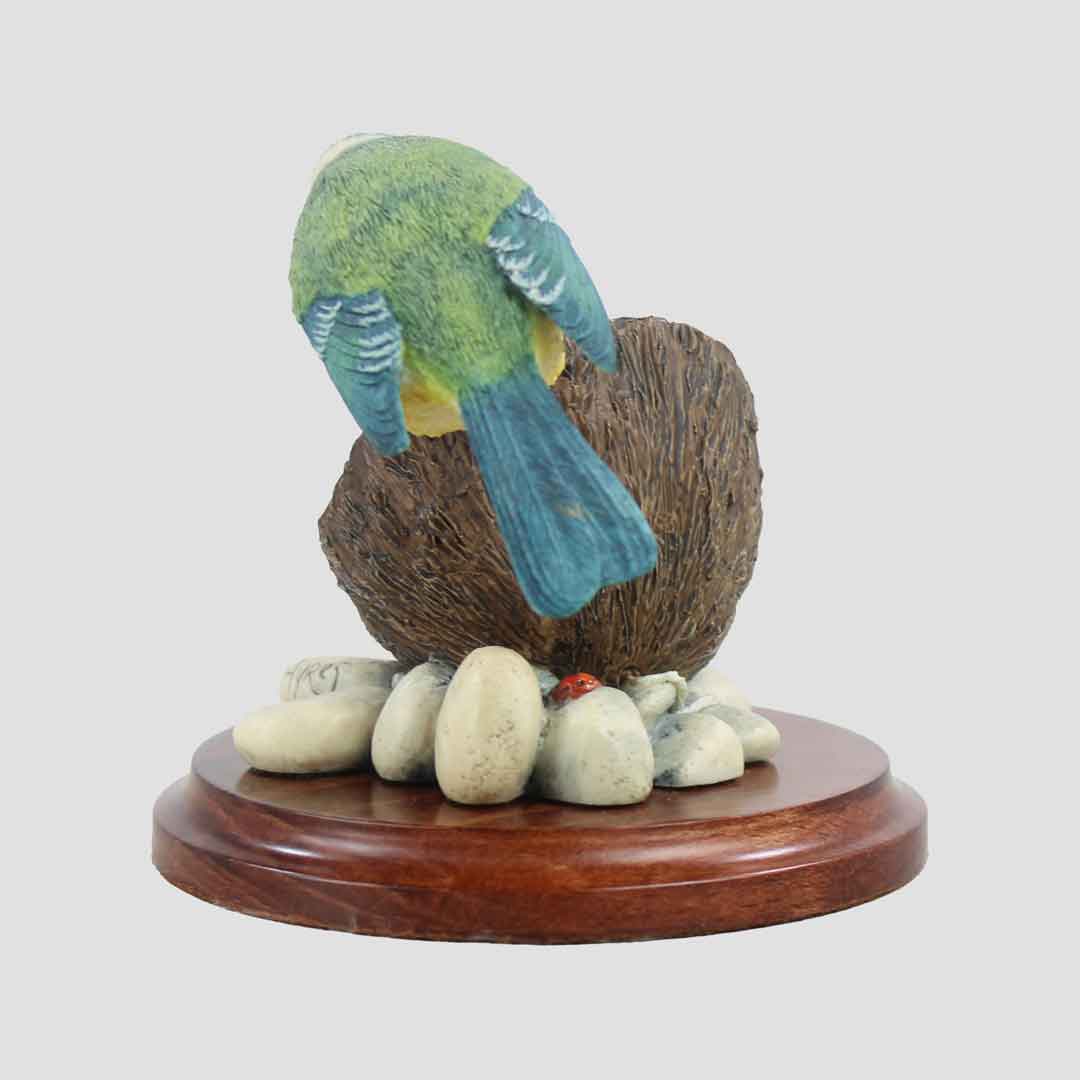 Blue Tit On Coconut With Plinth Border Fine Arts Birds