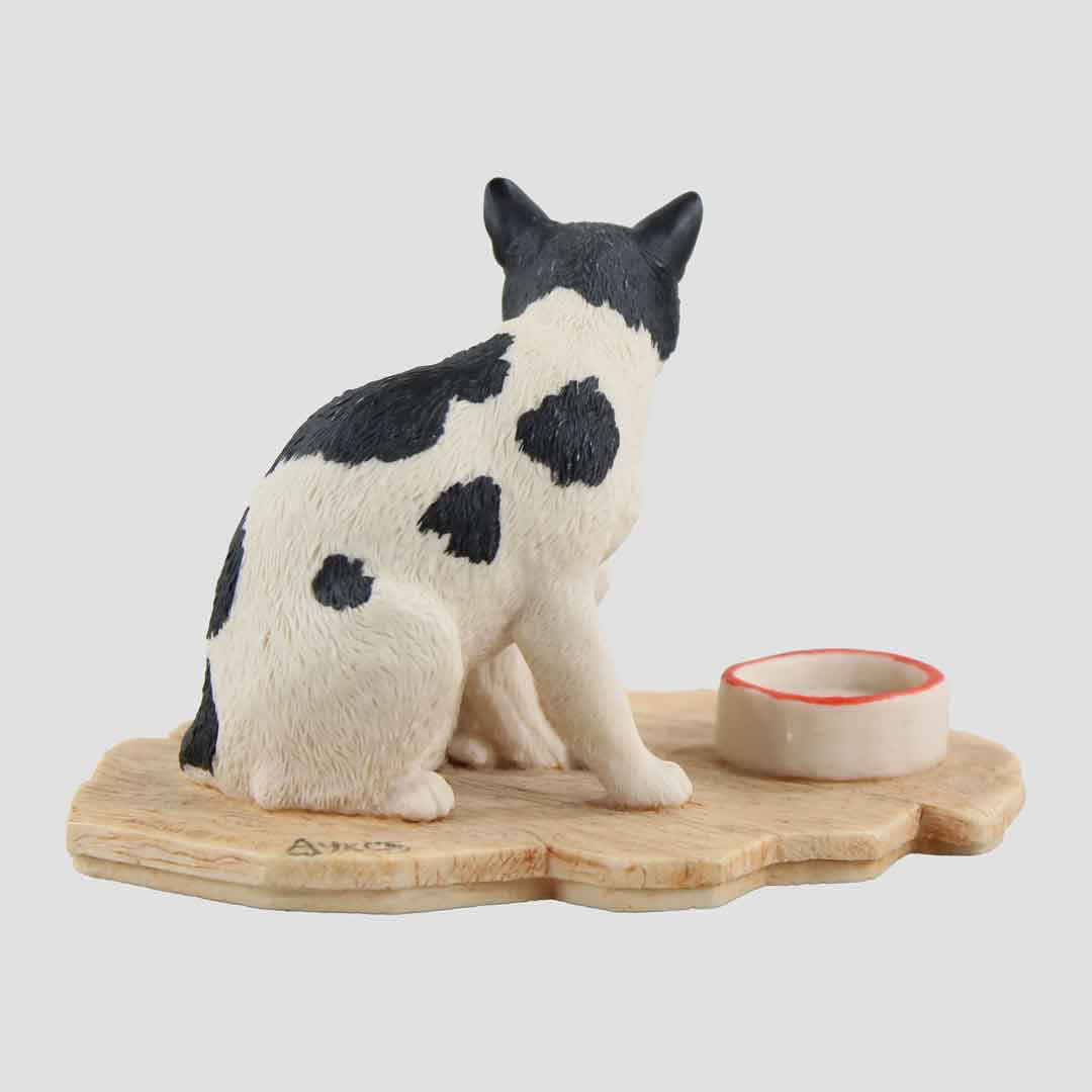 Catlick - Cat Licking Kitten Border Fine Arts