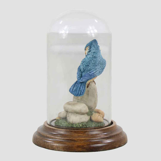 Kingfisher In Glass Dome By Country Artists